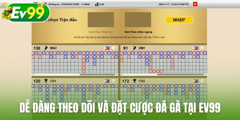 Dễ dàng theo dõi và đặt cược các trận đá gà tại Ev99