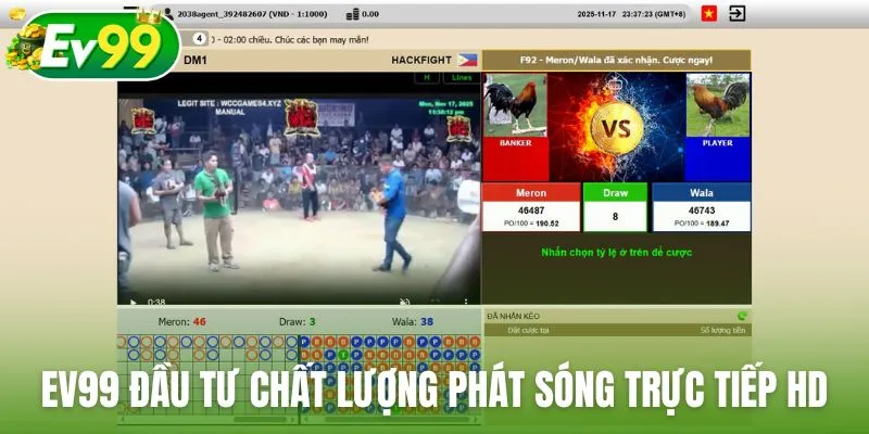 Ev99 đầu tư chất lượng phát sóng trực tiếp đá gà HD
